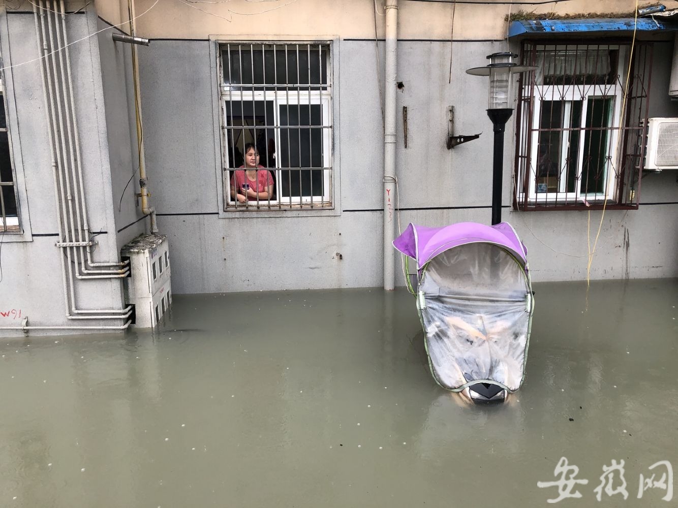 合肥一小区道路积水严重部分车辆被水浸泡