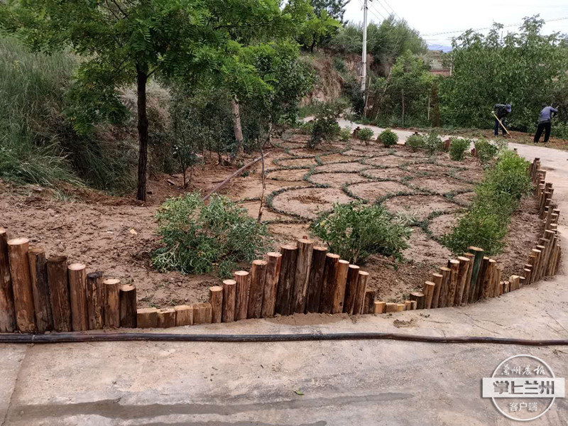 伏龙坪街道红沟村"旧物"变身好风景