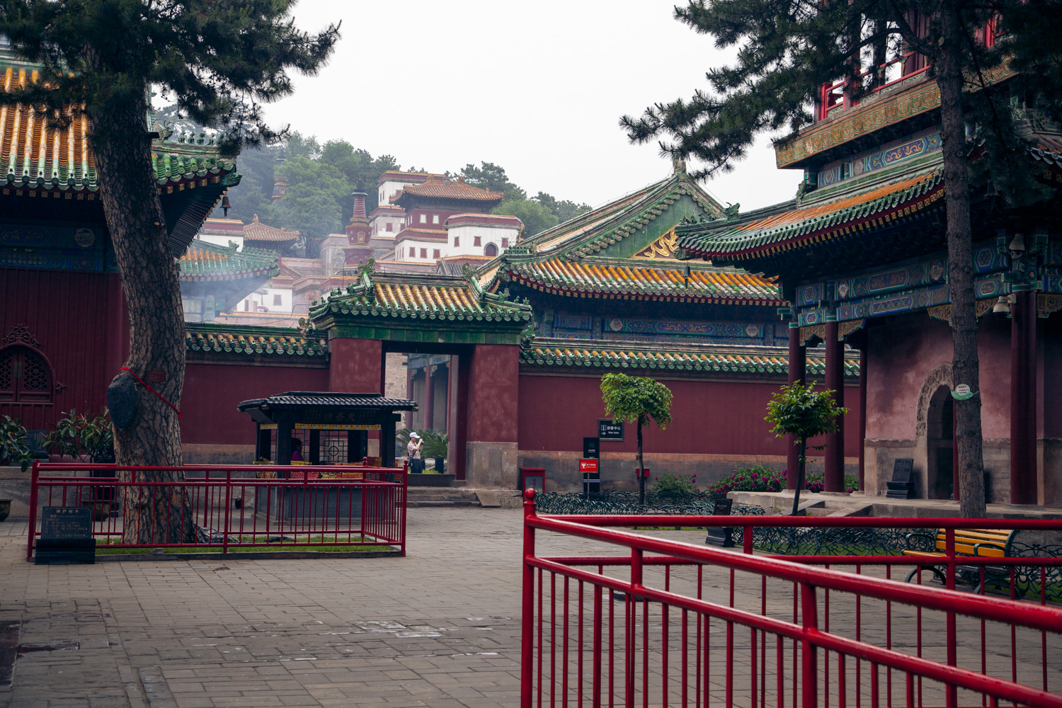 所以在承德建了许多藏传寺庙,其中就有普宁寺,它是中国北方最大的佛事