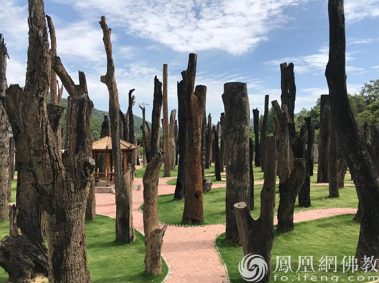 图片来源:凤凰网佛教 桐柏山乌木博物馆提供