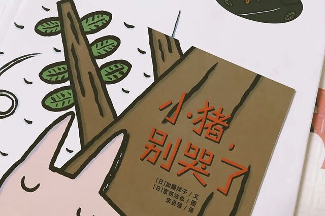 《小猪,别哭了》