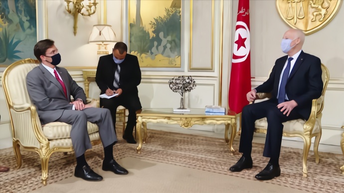 突尼斯总统与美国防部长讨论反恐及利比亚问题