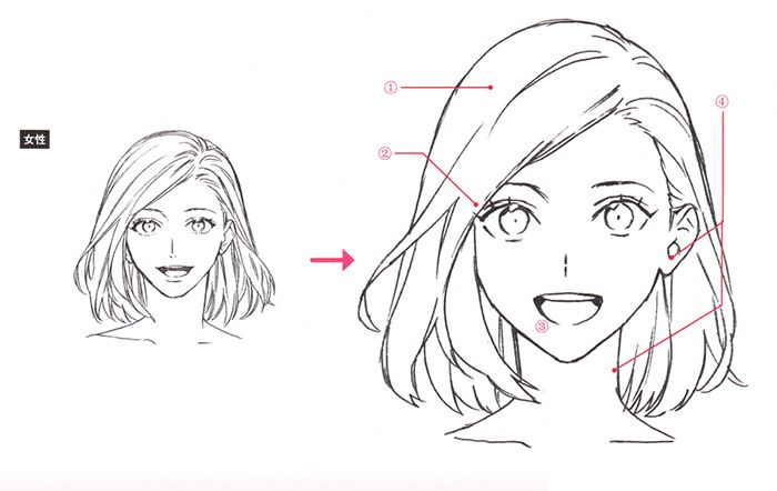 漫画人物脸部绘画基础 part 01 轮廓的画法__凤凰网