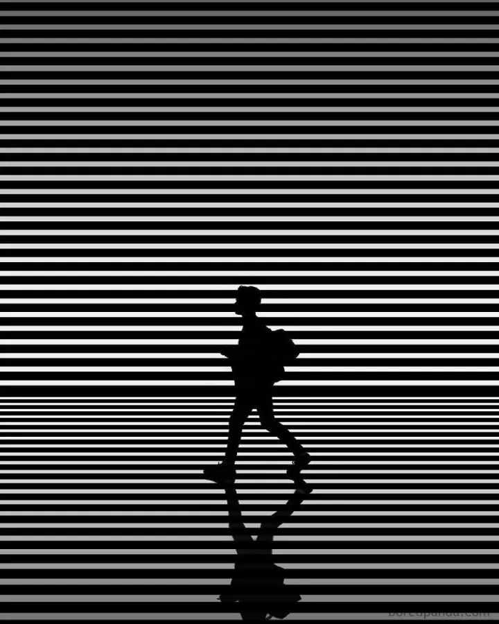 为何你的剪影平淡无奇别人的浪漫温馨关键在这5点