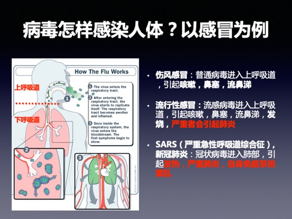 流感并发症死亡率不低，为何我们不恐惧？ 凤凰网