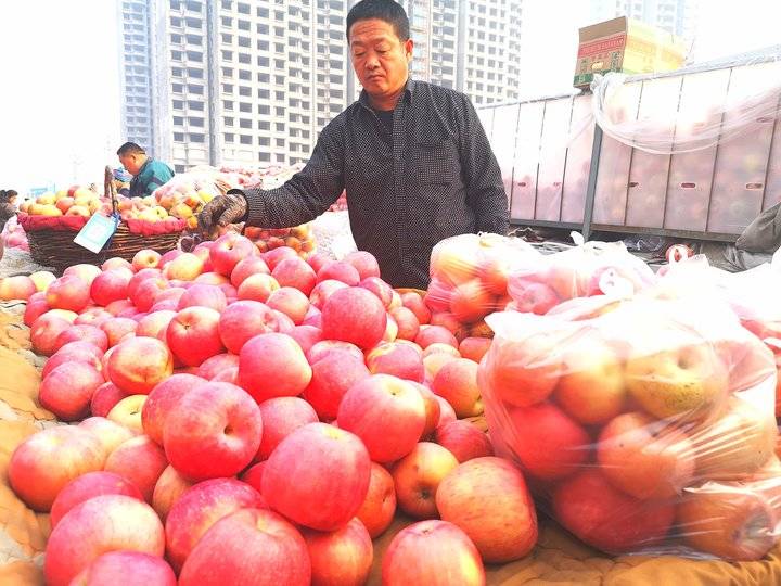 一车5吨苹果十天卖完多挣点钱回家过年