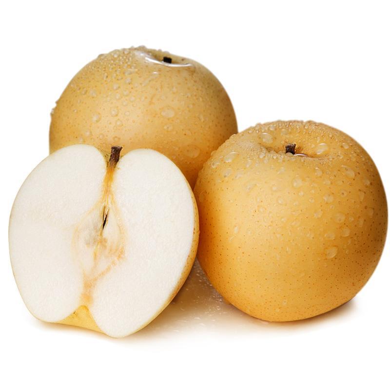 节气的习俗:苏北及山西一带有惊蛰全家吃梨的习俗,并流传有"惊蛰吃了