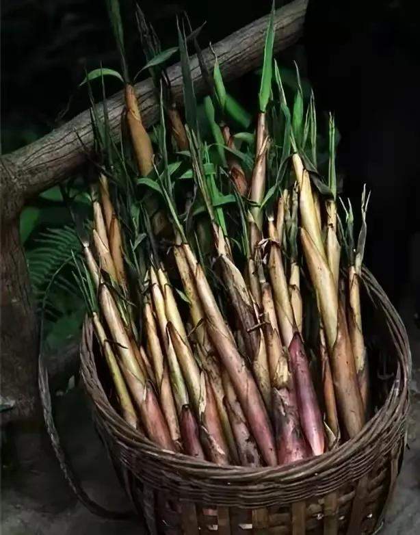 四川这个地方,美得让人欲罢不能!