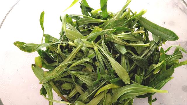 春天野菜那麼多偏偏鍾愛麵條菜簡單一做營養翻倍好吃解饞