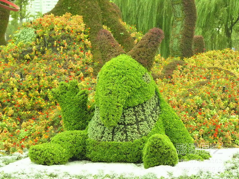 【最新五色草造型】五色草植物造型设计