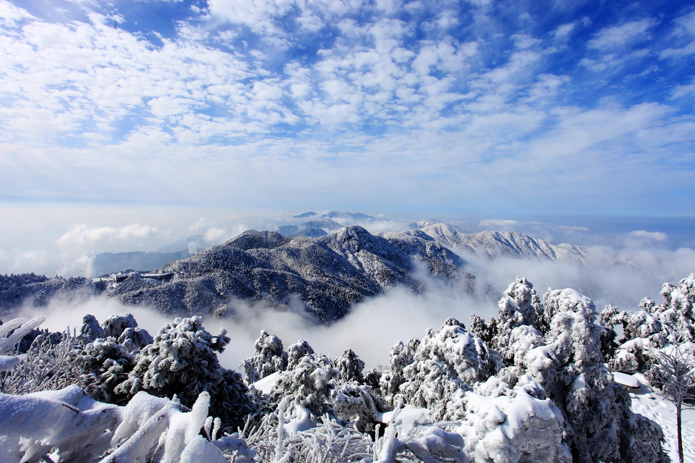南岳衡山雾凇的图片图片