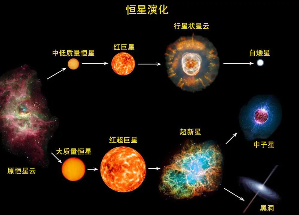 恒星大小比较图图片