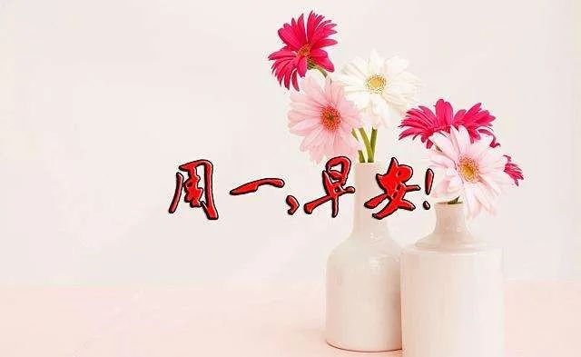 星期一早晨最美的早上好祝福语句最新漂亮早安静态表情图片