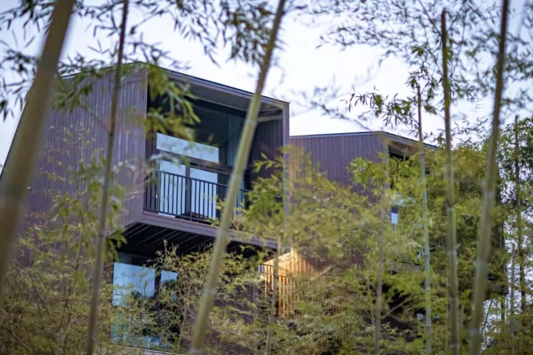 廿舍| 上海2h直达,这座自带"学者气质"的度假村宜学宜游