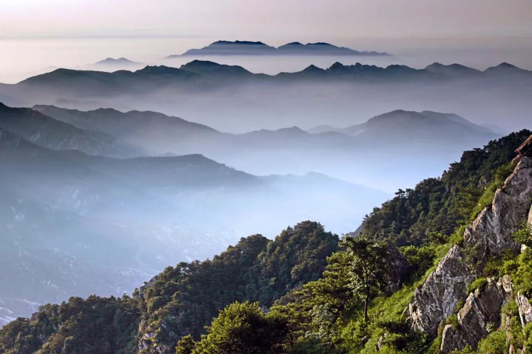 春日迟迟,卉木萋萋 仓庚喈喈,采蘩祁祁 春天里的蒙山,总是会给人惊喜