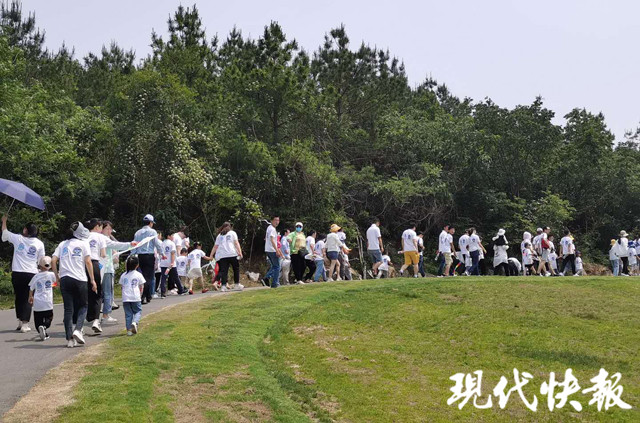 南京江宁网友节嗨爆了！32组家庭打卡新晋网红景点