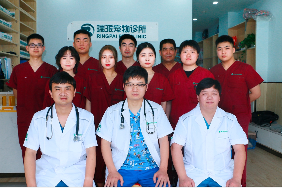 魔都这些有历史的宠物医院你知道吗上海瑞派宠物医院特辑1