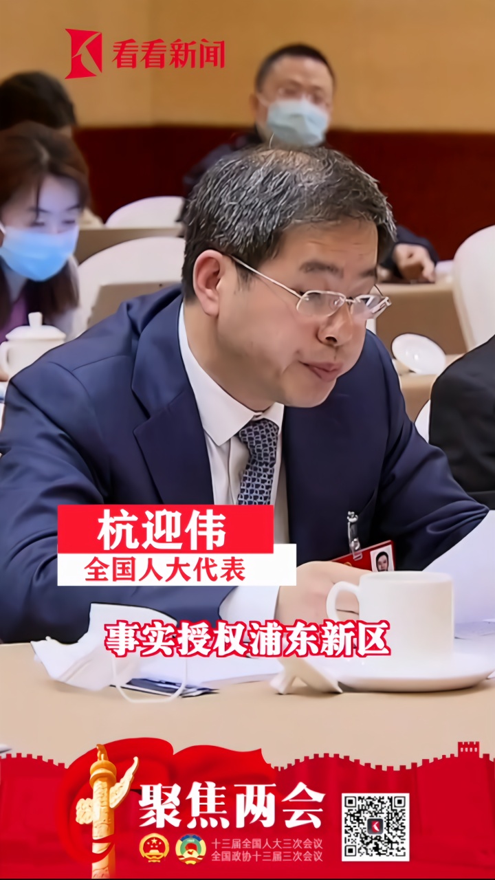杭迎伟建议事实授权浦东比照经济特区立法