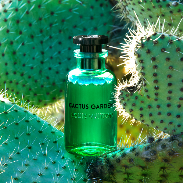 lv古龙香水带你开启嗅觉的夏日之旅