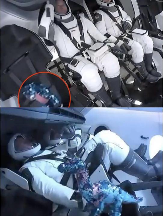 ty的特雷默尔和spacex飞船一起飞向太空的小恐龙