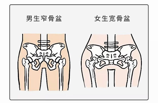 如何用你的翘臀征服女人?