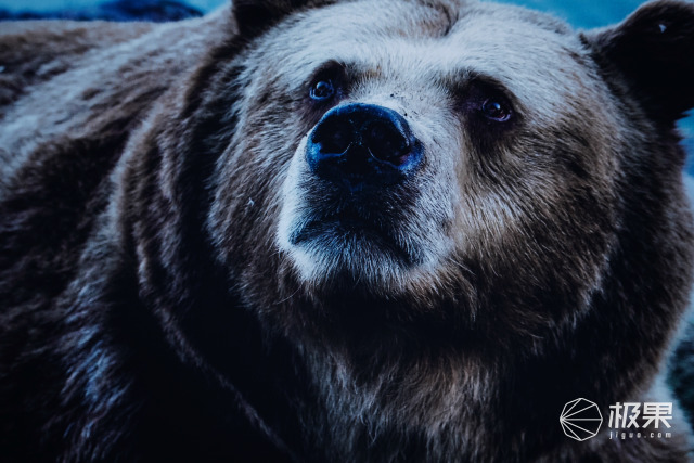 创维Q71深度测评:万元级全程8K电视来了