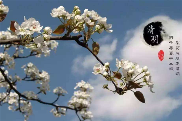 清明初候桐始华易经往不胜为咎您可知其中含义