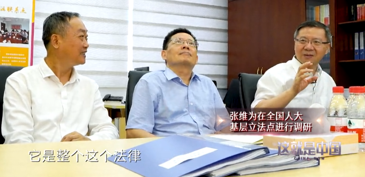 张维为：欺负老百姓 不就是美式资本民主的最大特点吗？
