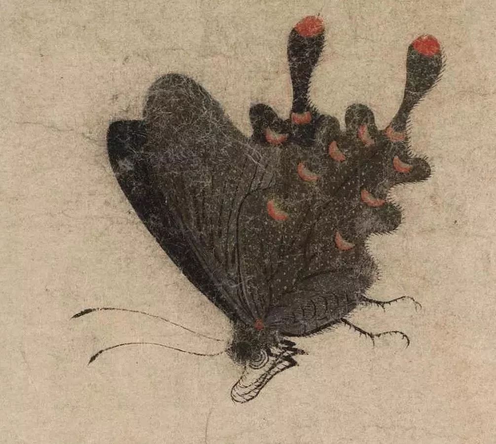 赵昌《写生蛱蝶图》