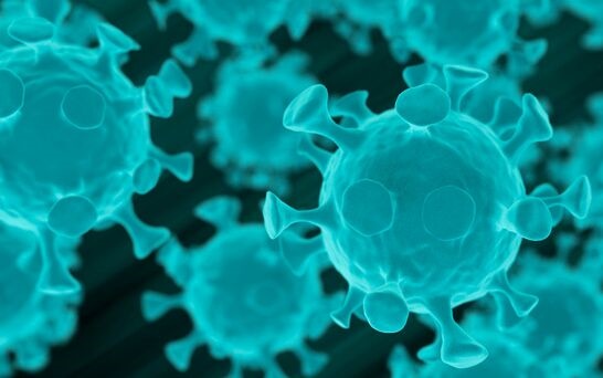 日本科学家发现新冠病毒全新变异体：能阻碍先天免疫反应导致症状加重
