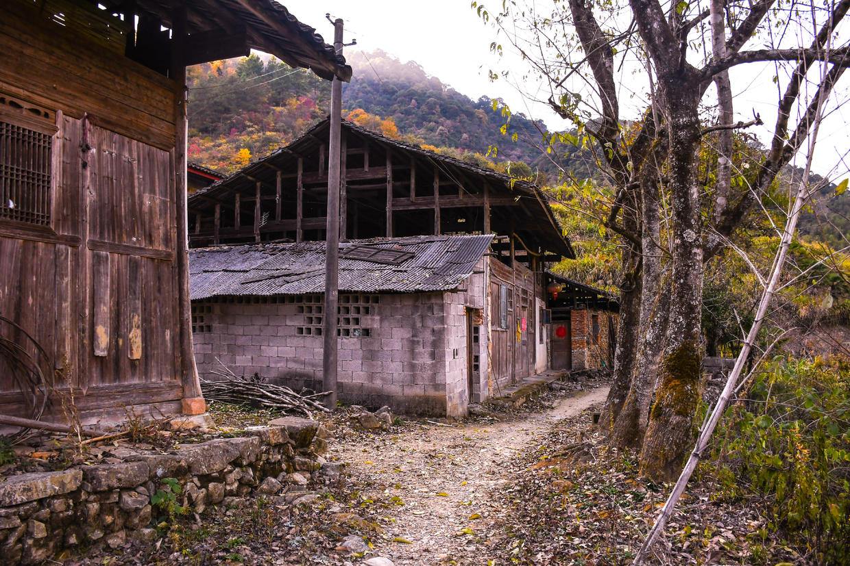 在遥远偏僻的一个小山村里 她藏着一整个秋天__凤凰网