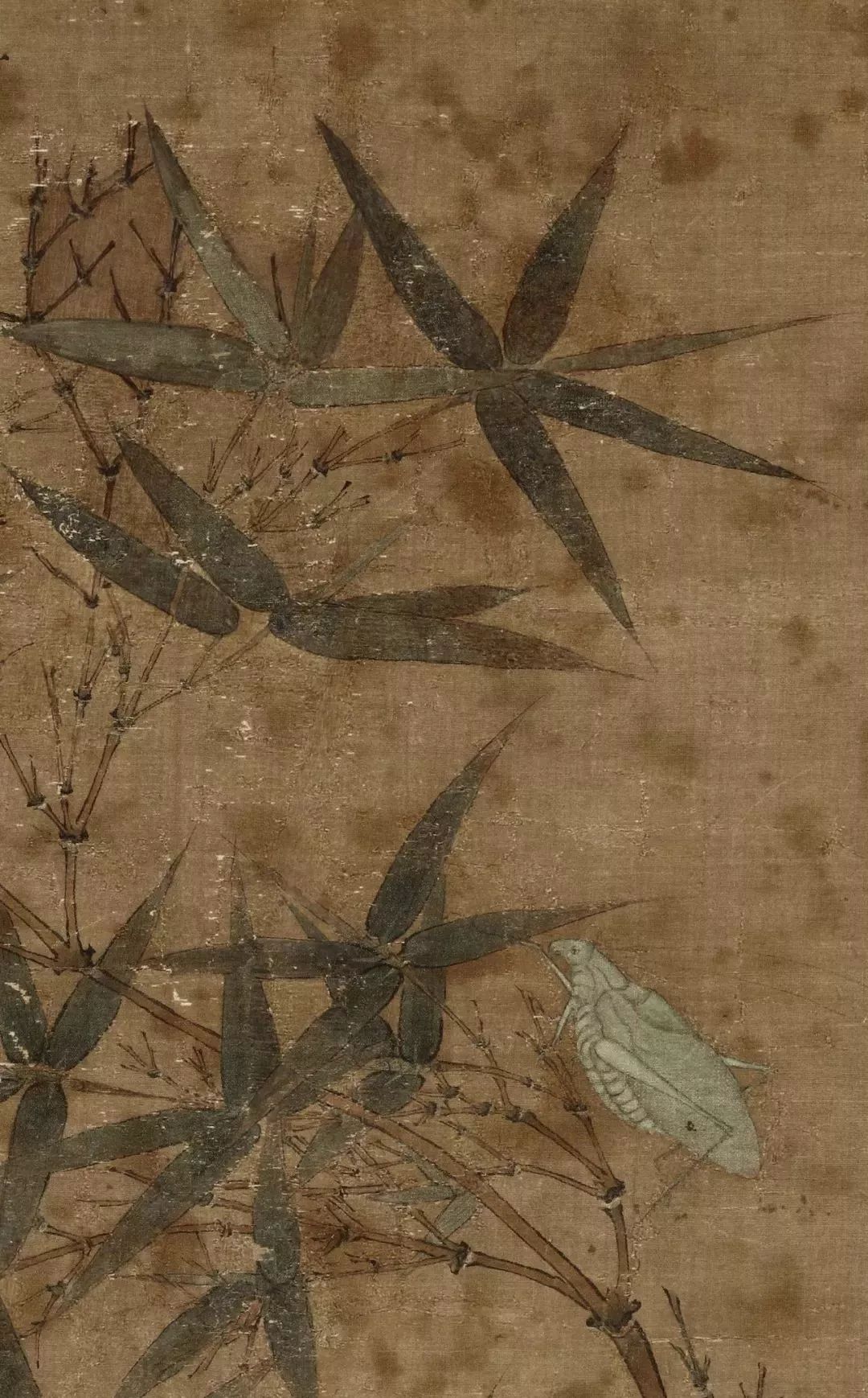 写生赵昌北宋色彩最好的花鸟画家高清