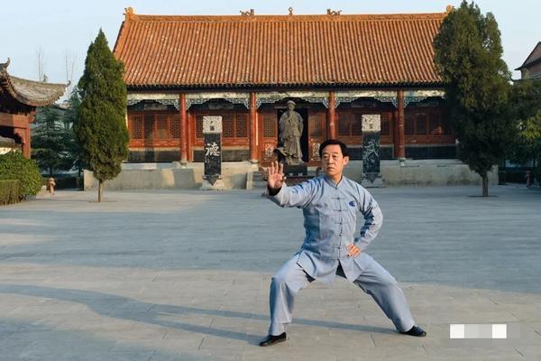 国家级非物质文化遗产项目太极拳代表性传承人——陈正雷