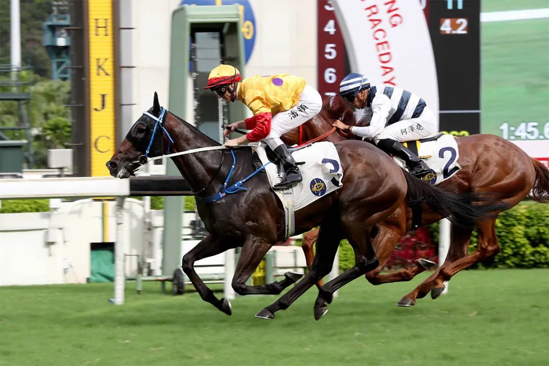 在沙田赛马场,一年一度的香港回归赛马日如期盛大举行,在当天第8场