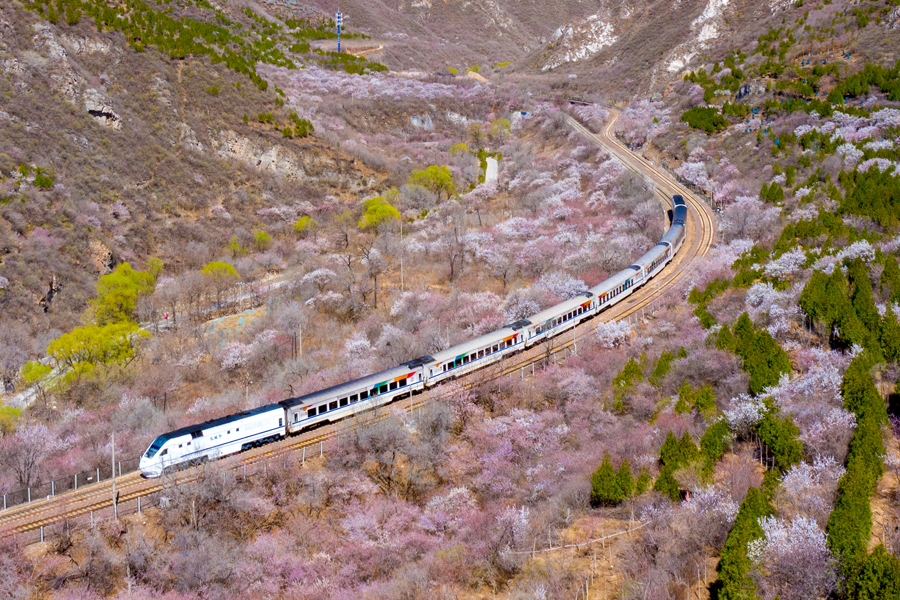 北京市郊铁路s2线沿线山花绽放