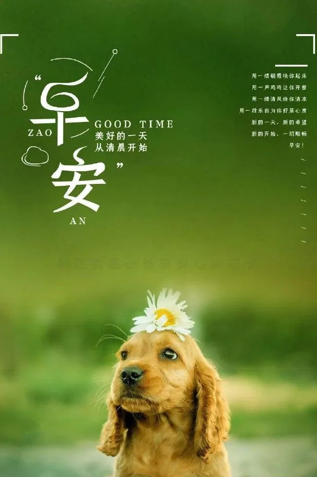 3月25日早安| 新的一天,新的起点__凤凰网