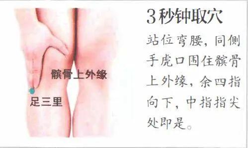 膝关节艾灸位置图解图片