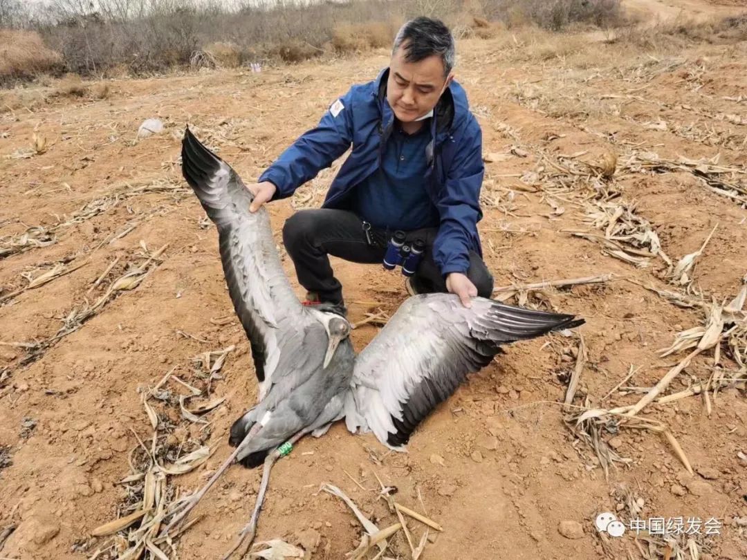 中国绿发会崖沙燕保护地主任邢世杰:从军队到山林 | 英雄的儿女,革命