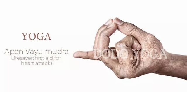 mudra 经典瑜伽手印