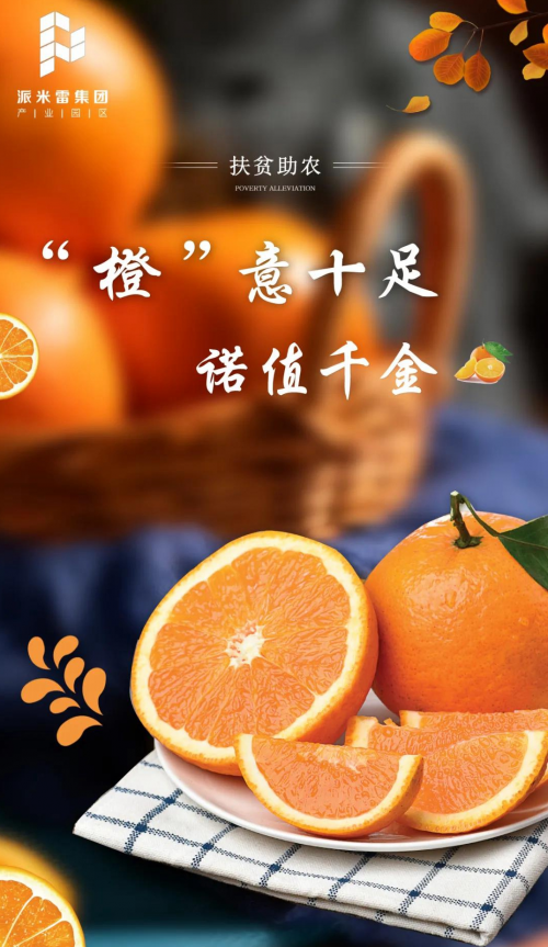 扶贫助农 橙意十足 派米雷感恩节公益行