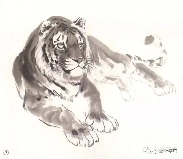 书画联盟丨怎样画写意虎