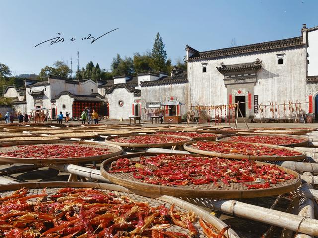 安徽农村晒农作物变成网红旅游景点，游客：为什么咱家农村不行？