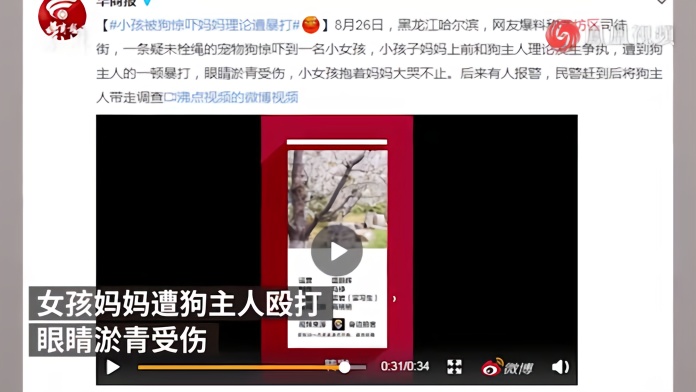 未拴绳宠物狗吓到小孩，妈妈上前理论遭狗主人殴打