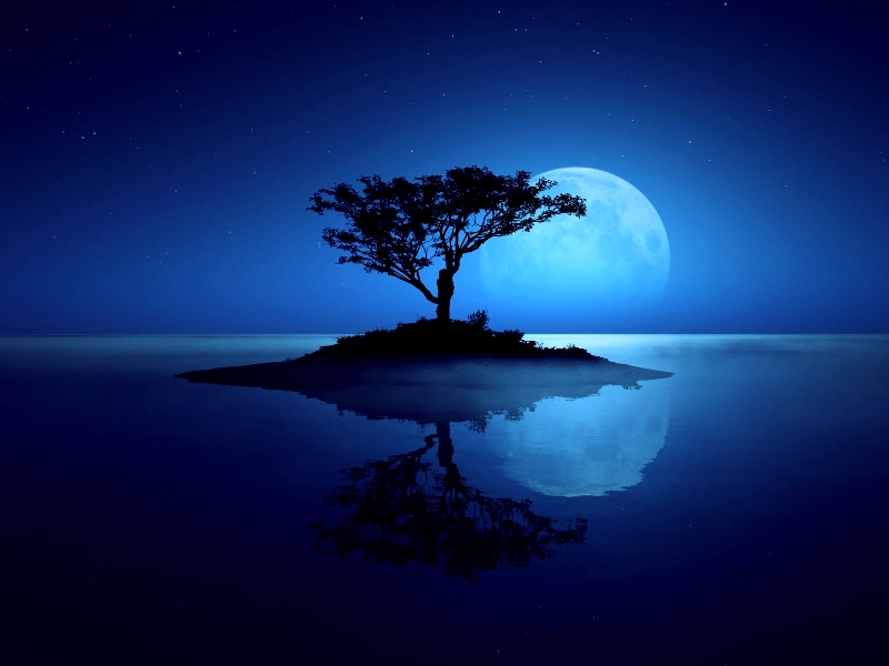 德慧沉思录397399月影寒冬暮老泪雪花灭妄德慧煦春光