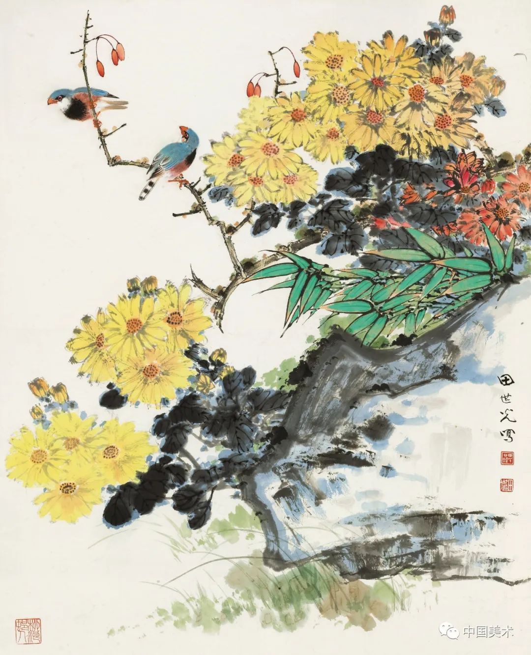 最美花鸟100幅,雅俗共赏(高清)
