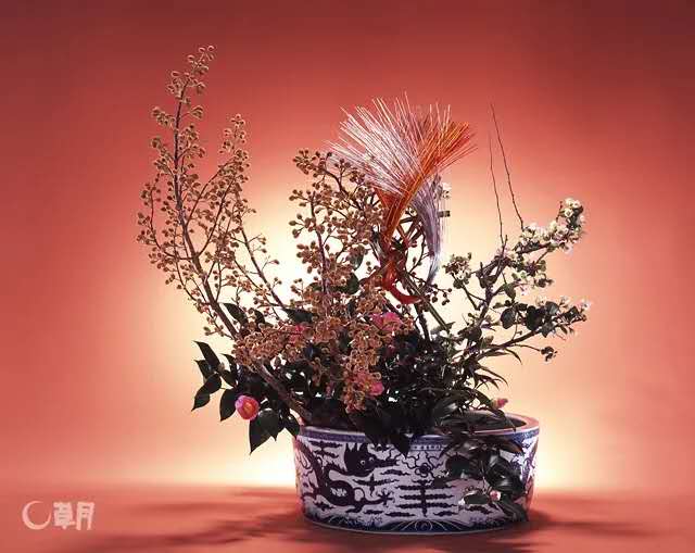 中赫时尚花艺界的毕加索为你带来极致的抽象美学