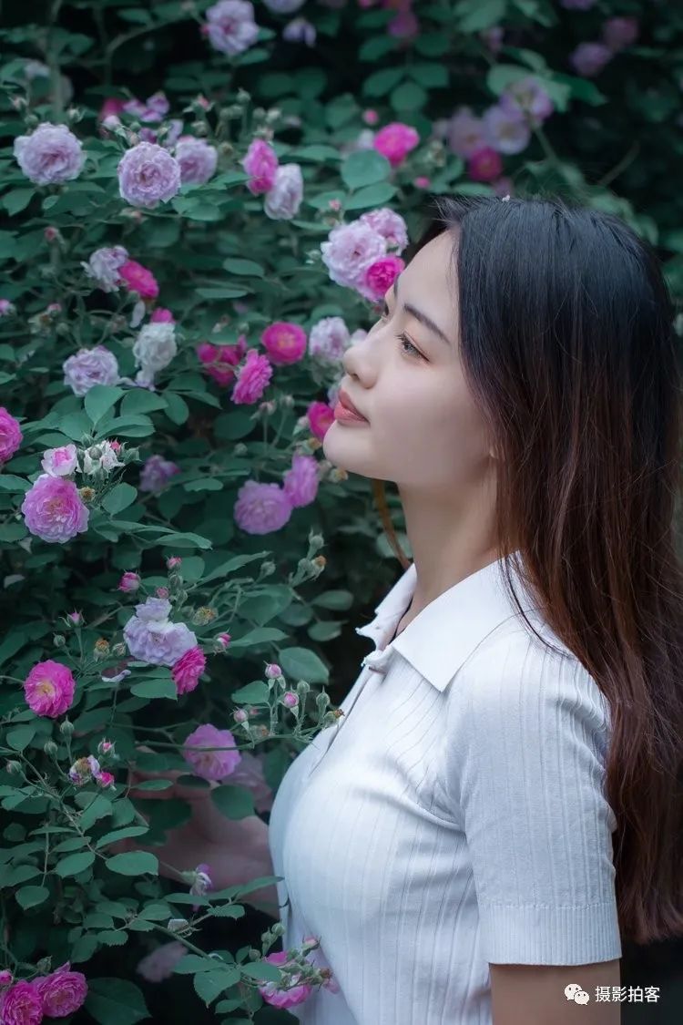 环境人像:蔷薇美,美美美