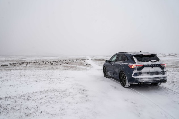 追寻雪的踪迹 与锐际深入冬季的乌兰布统