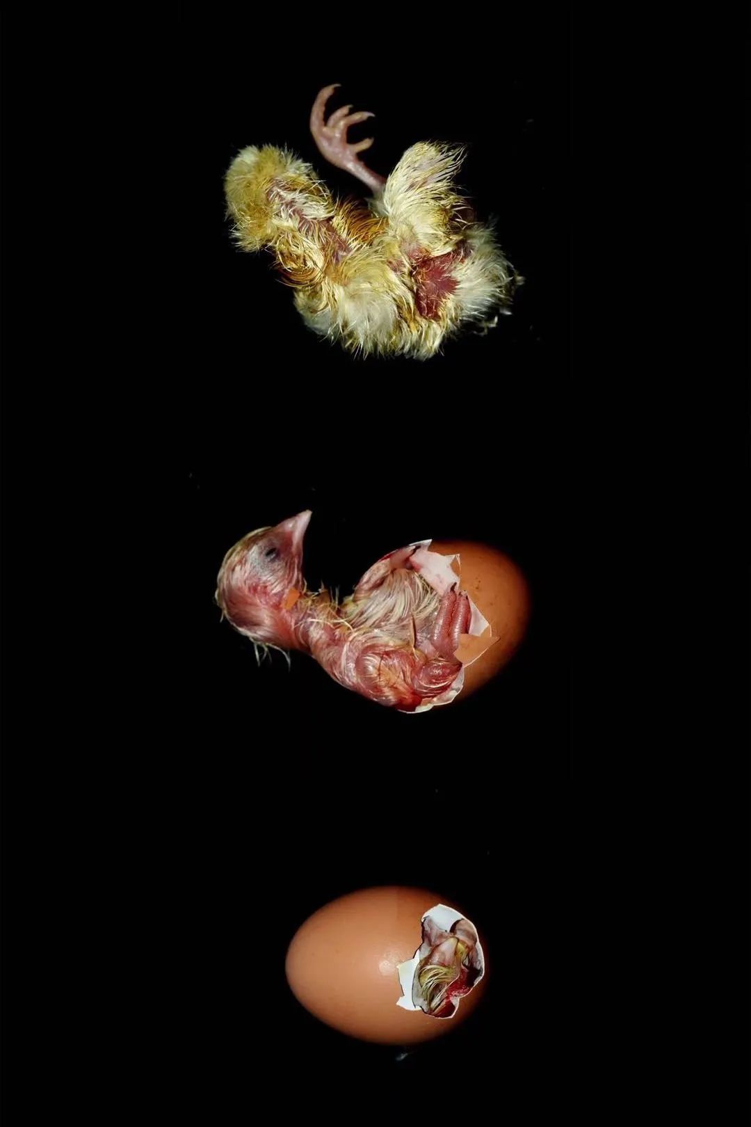 她12岁辍学当女工,靠自拍身体改命,专家:她像火焰燃烧