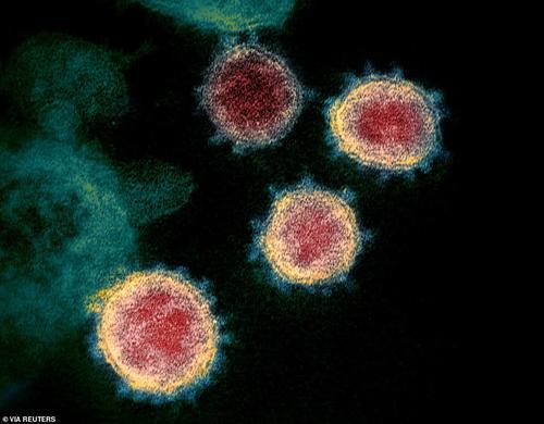 英国新冠病毒变体传播力增强 传播指数提升36%已扩散 